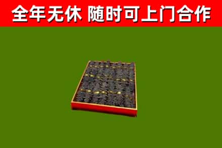 义乌回收海参